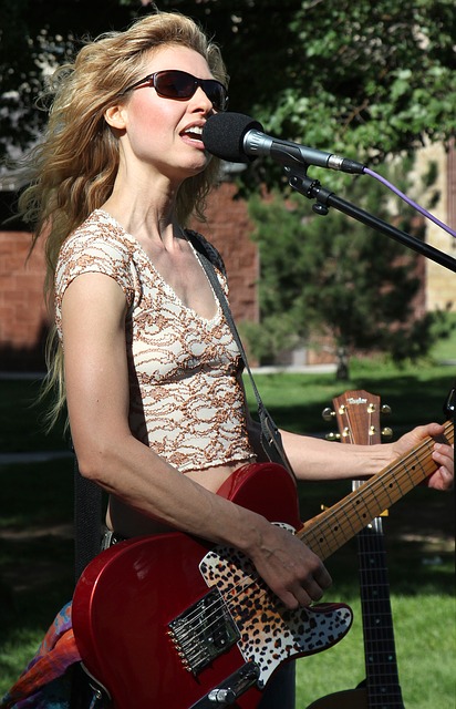 Daisy Rock gitaar afbeelding