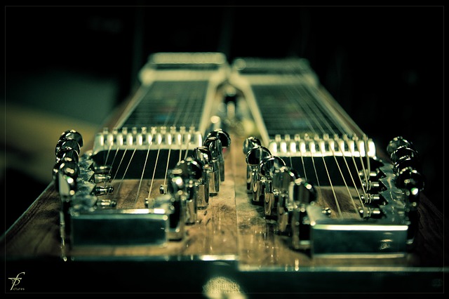 Lap steel gitaar afbeelding