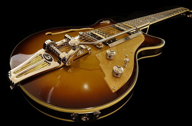 Archtop gitaar afbeelding