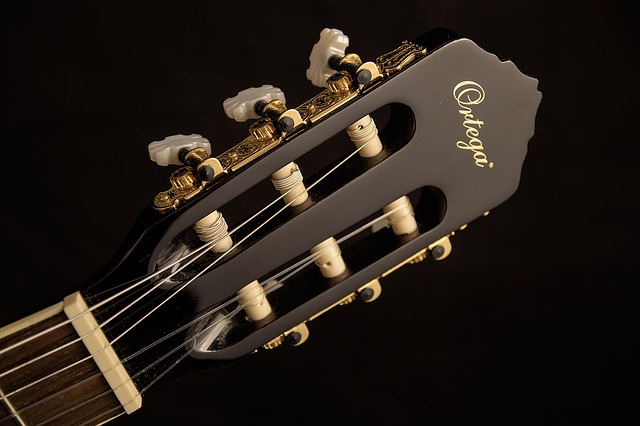 Ortega gitaar afbeelding