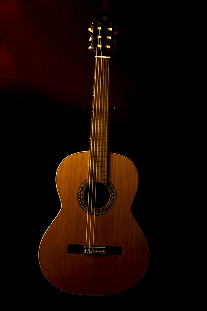 Javier Enriques gitaar afbeelding