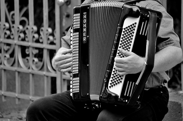 Accordeon afbeelding