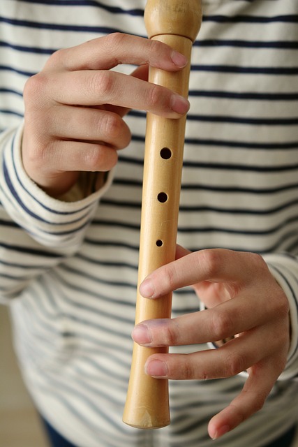 Recorder instrument afbeelding