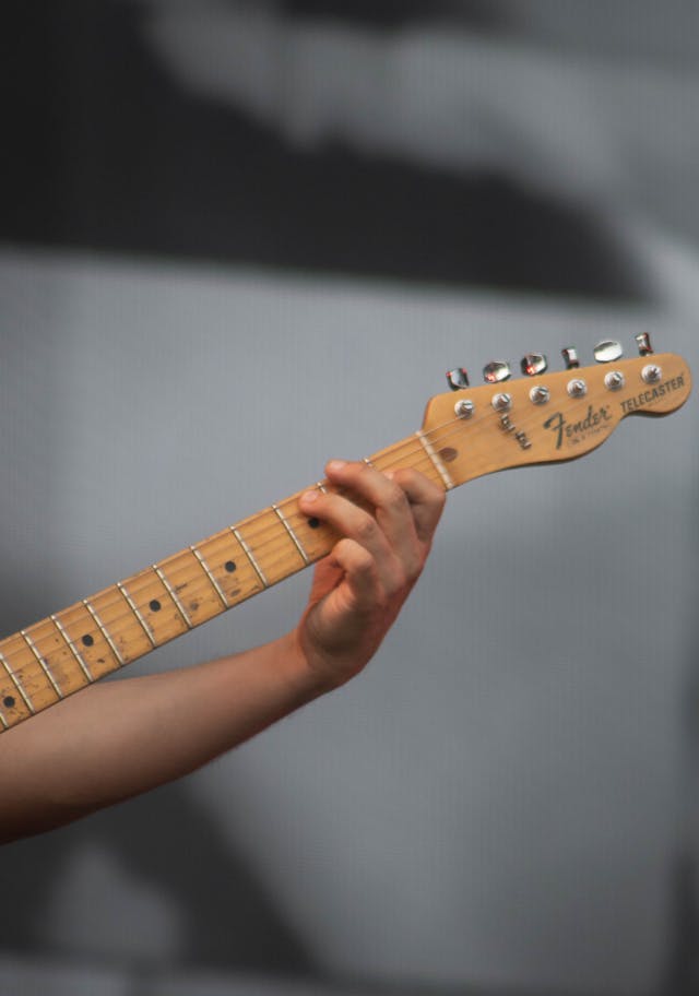 Ernie Ball afbeelding