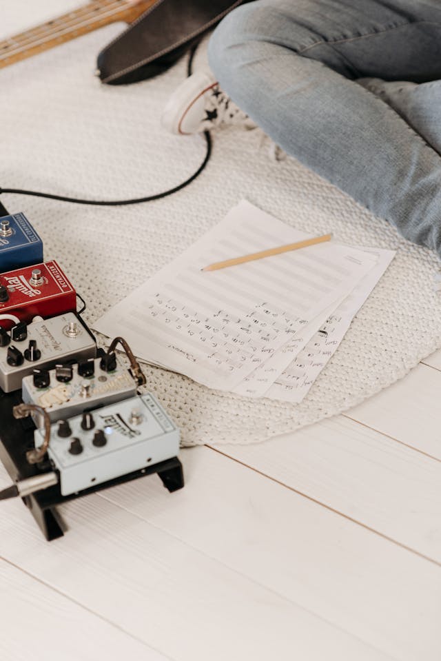 Earthquaker Devices afbeelding