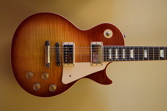 Gibson les paul gitaar