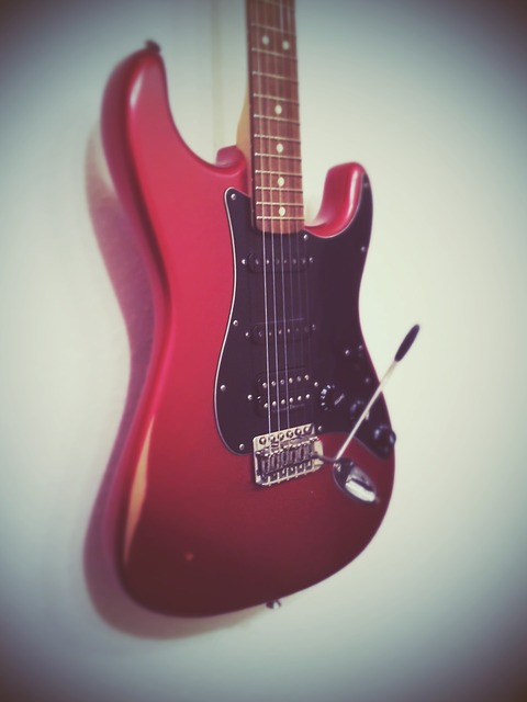 Stratocaster gitaar