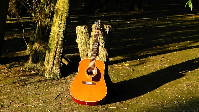 Western gitaar snaren afbeelding